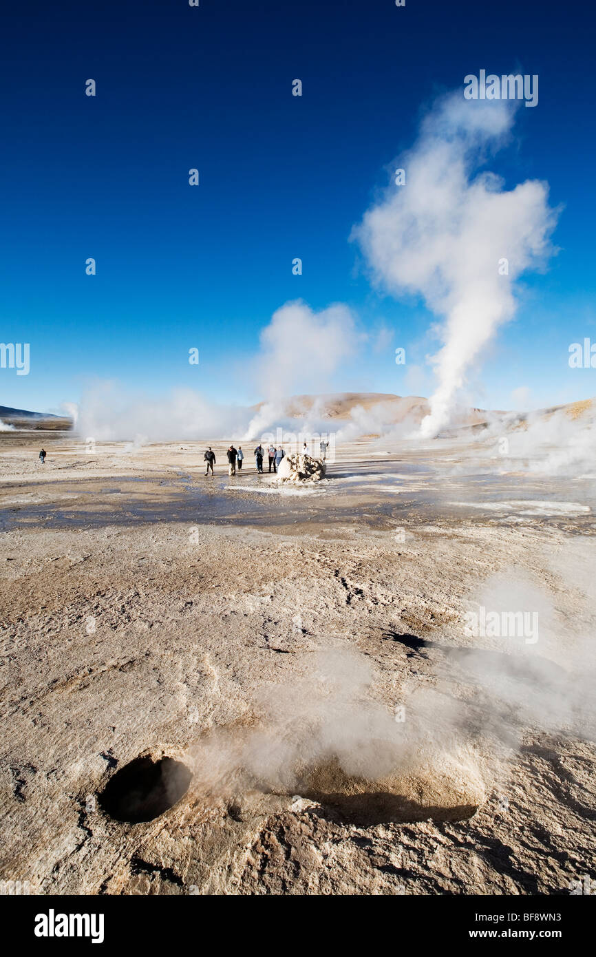 El Tatio geyser campo nel nord del Cile. Foto Stock El Tatio geyser campo nel nord del Cile. Foto Stock
