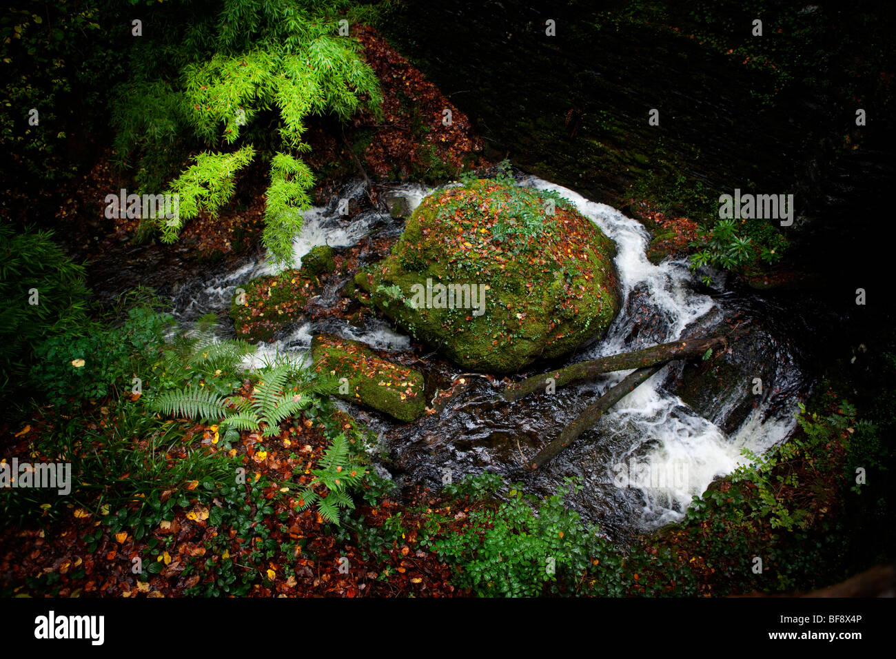 Il nord del Galles Snowdonia Croesor autunno tempestoso colorato colorato paesaggio natura Foto Stock