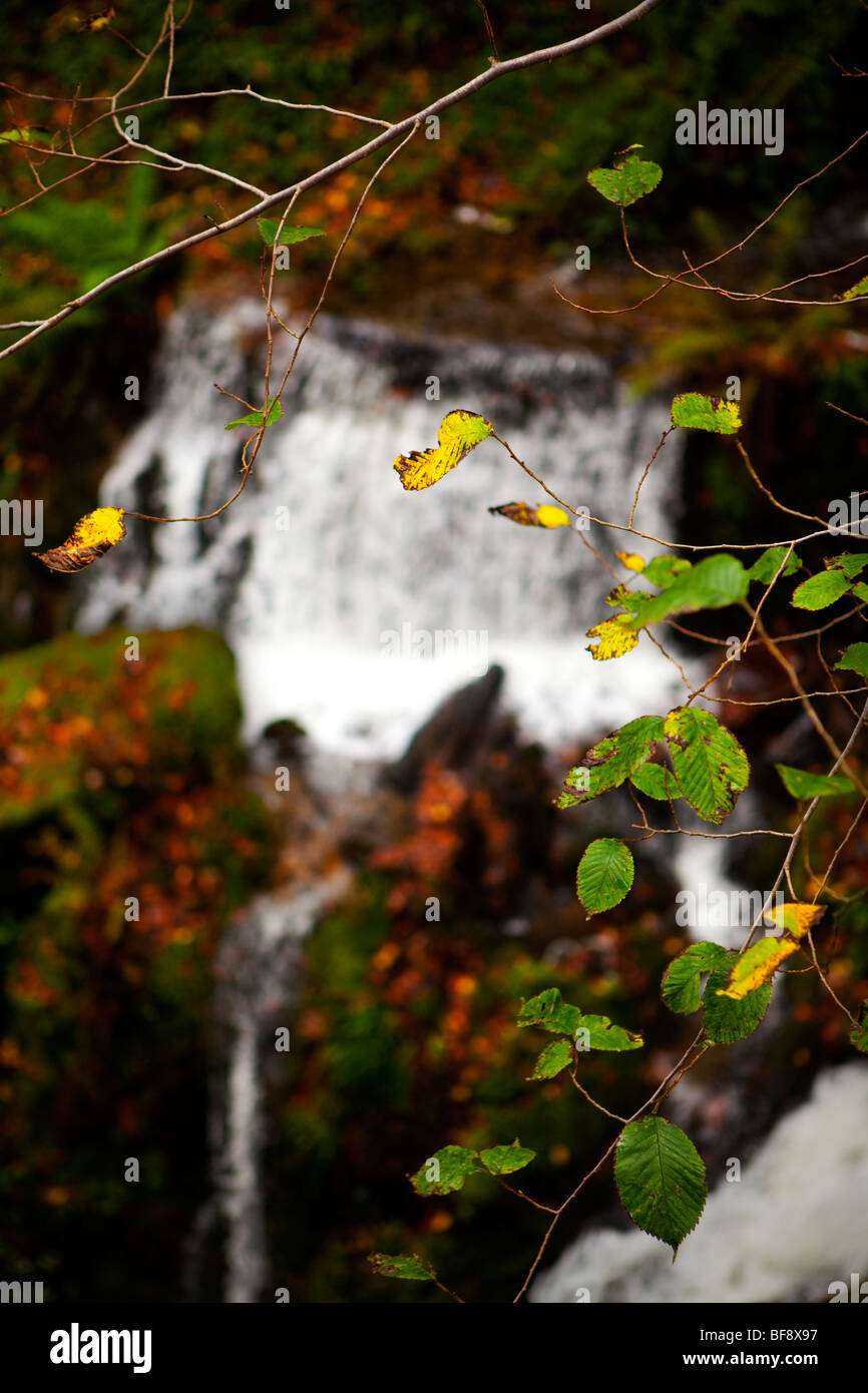 Il nord del Galles Snowdonia Croesor autunno tempestoso colorato colorato paesaggio natura Foto Stock