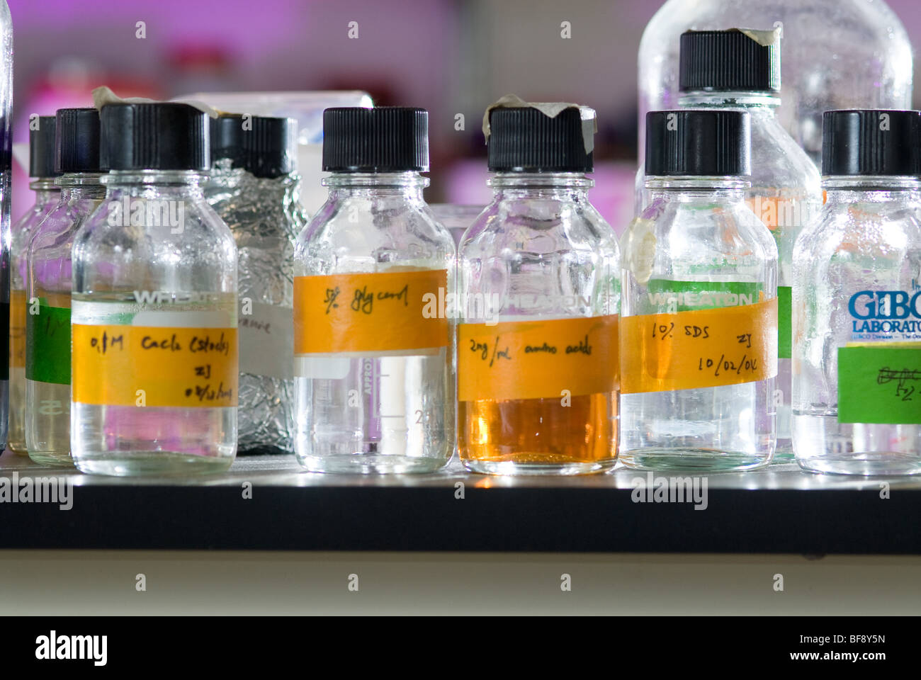 Vetreria di laboratorio e sostanze chimiche in laboratorio di ricerca Foto Stock
