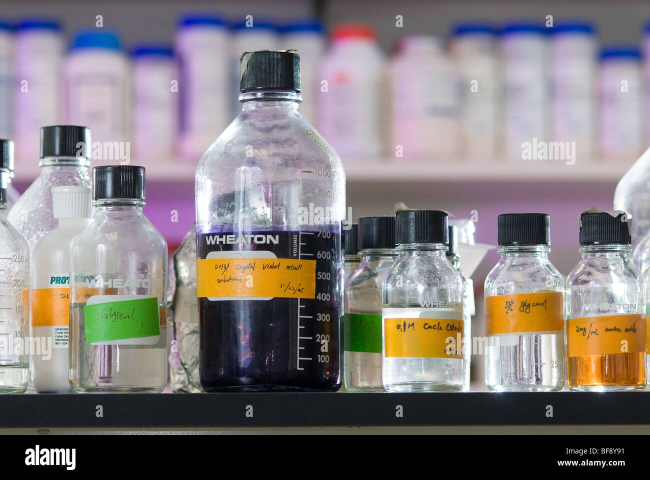 Vetreria di laboratorio e sostanze chimiche in laboratorio di ricerca Foto Stock