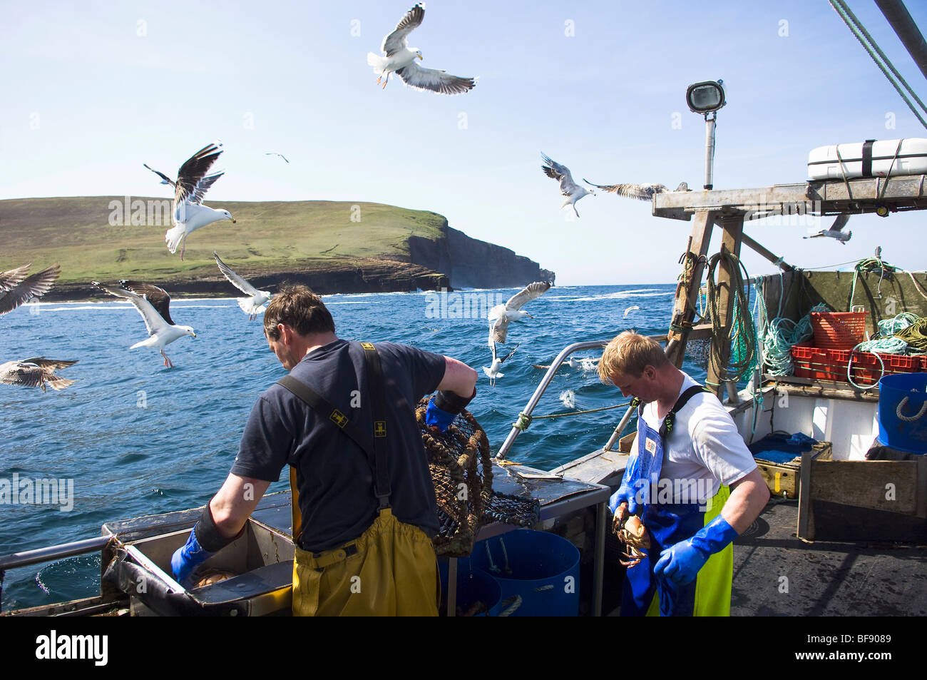 Le piccole imbarcazioni da pesca ancora lavorare fuori di porte come Stromness sulle isole Orcadi, e i pescatori utilizzano metodi tradizionali per la cattura di Foto Stock