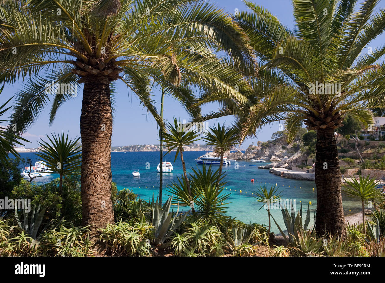 Cala Fornells, Maiorca, isole Baleari, Spagna Foto Stock