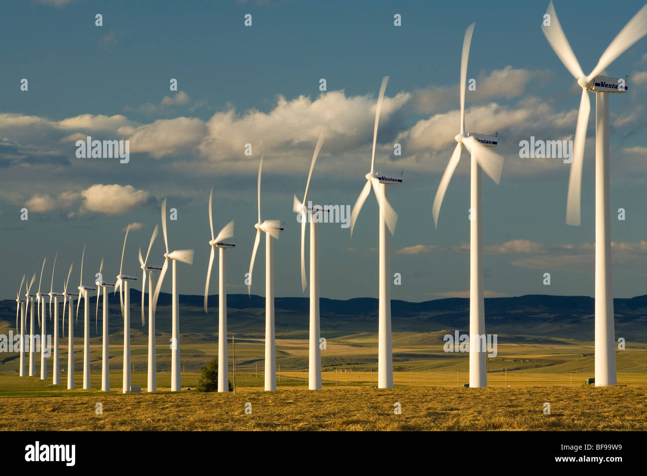 Le turbine eoliche, dei rulli di estrazione Creek, Alberta, Canada Foto Stock