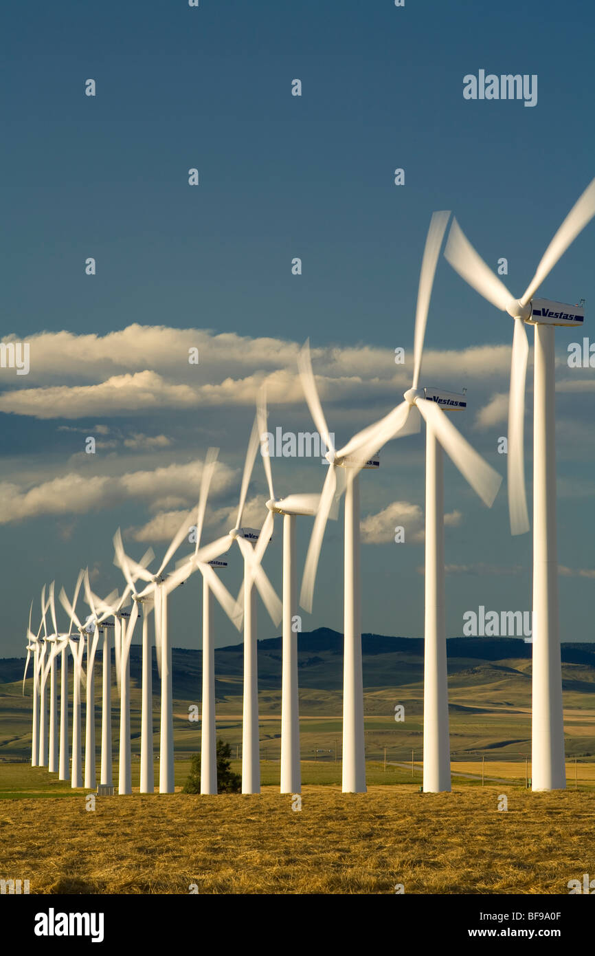 Le turbine eoliche, dei rulli di estrazione Creek, Alberta, Canada Foto Stock