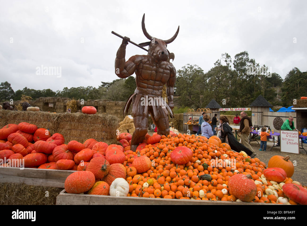 Un minotauro statua veglia su pile di zucche vicino al 2009 Half Moon Bay arte e festival di zucca. Foto Stock