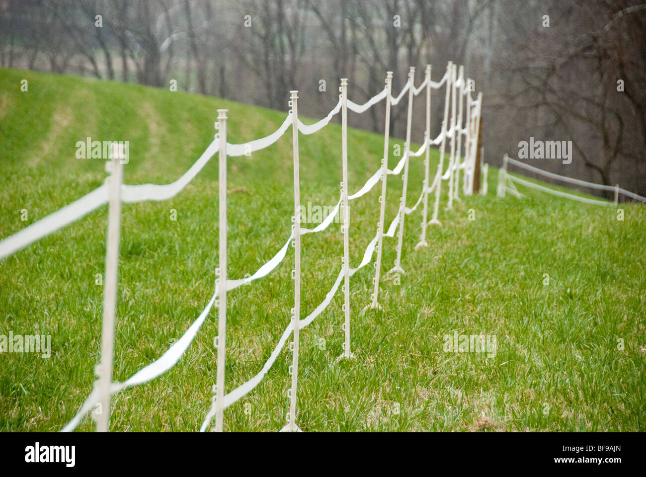Pascolo a piedi - Equine pascolo di rotazione - temporanea recinzione polytape Foto Stock