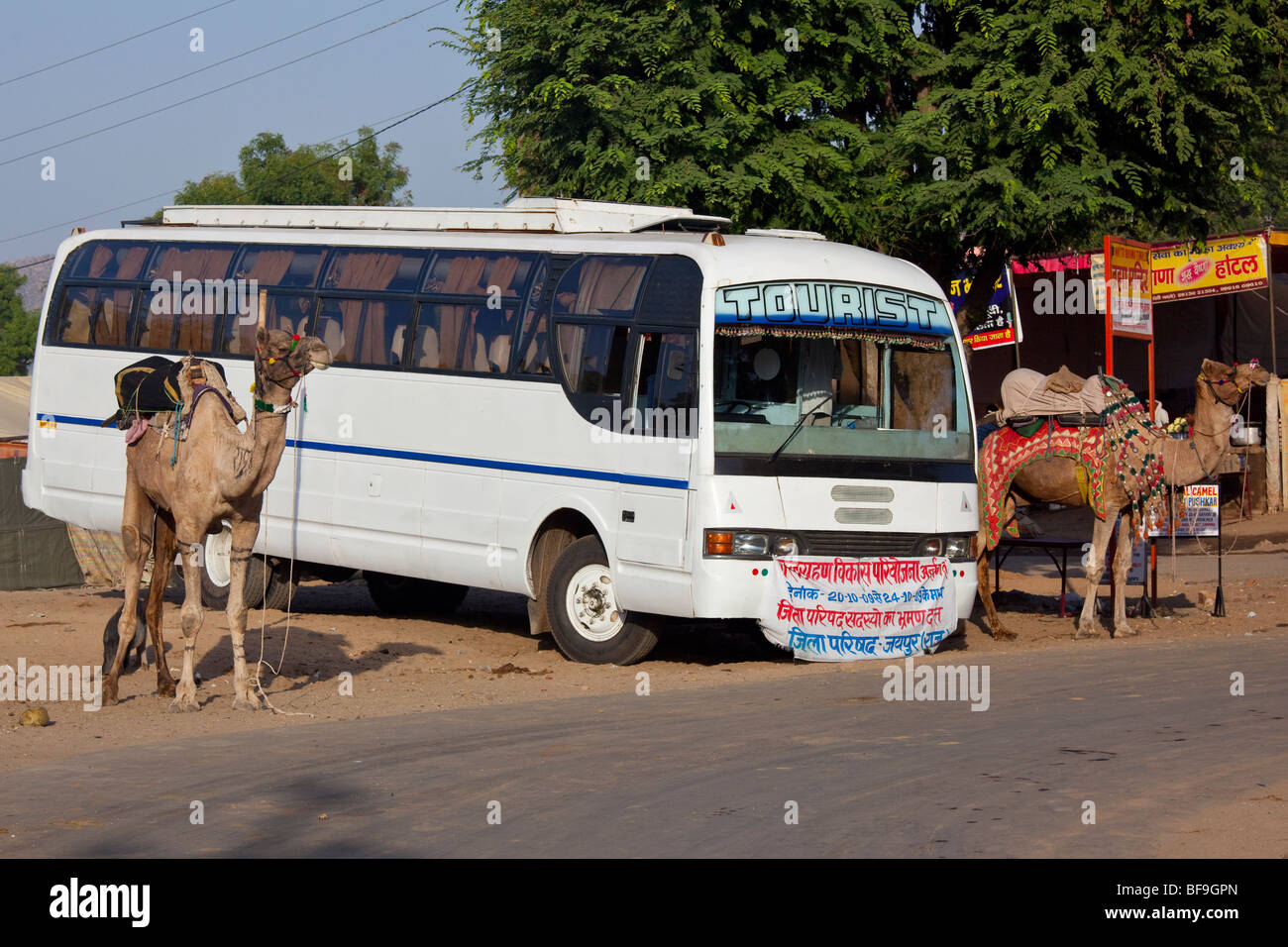 Autobus turistico al Camel Fair in Pushkar nel Rajasthan in India Foto Stock