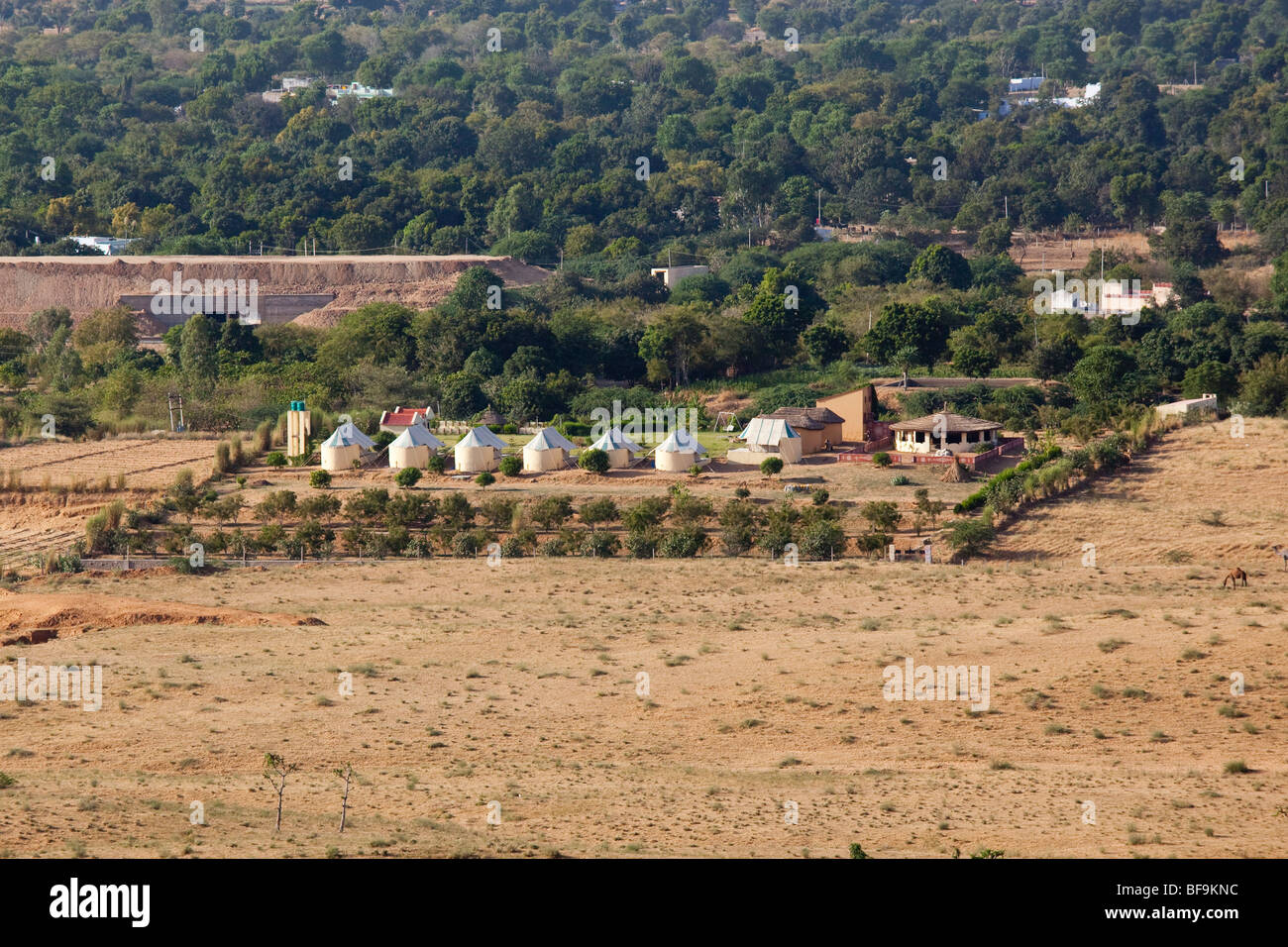 Royal Desert Camp alloggi turistici durante il Camel Fair in Pushkar nel Rajasthan in India Foto Stock