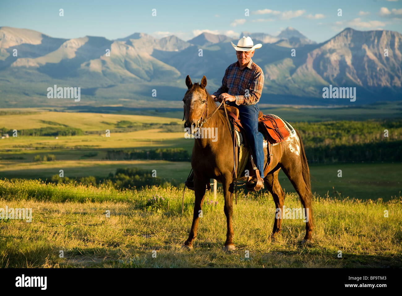 Cowboy vicino al Parco Nazionale dei laghi di Waterton, Alberta, Canada (n. modello di rilascio) Foto Stock
