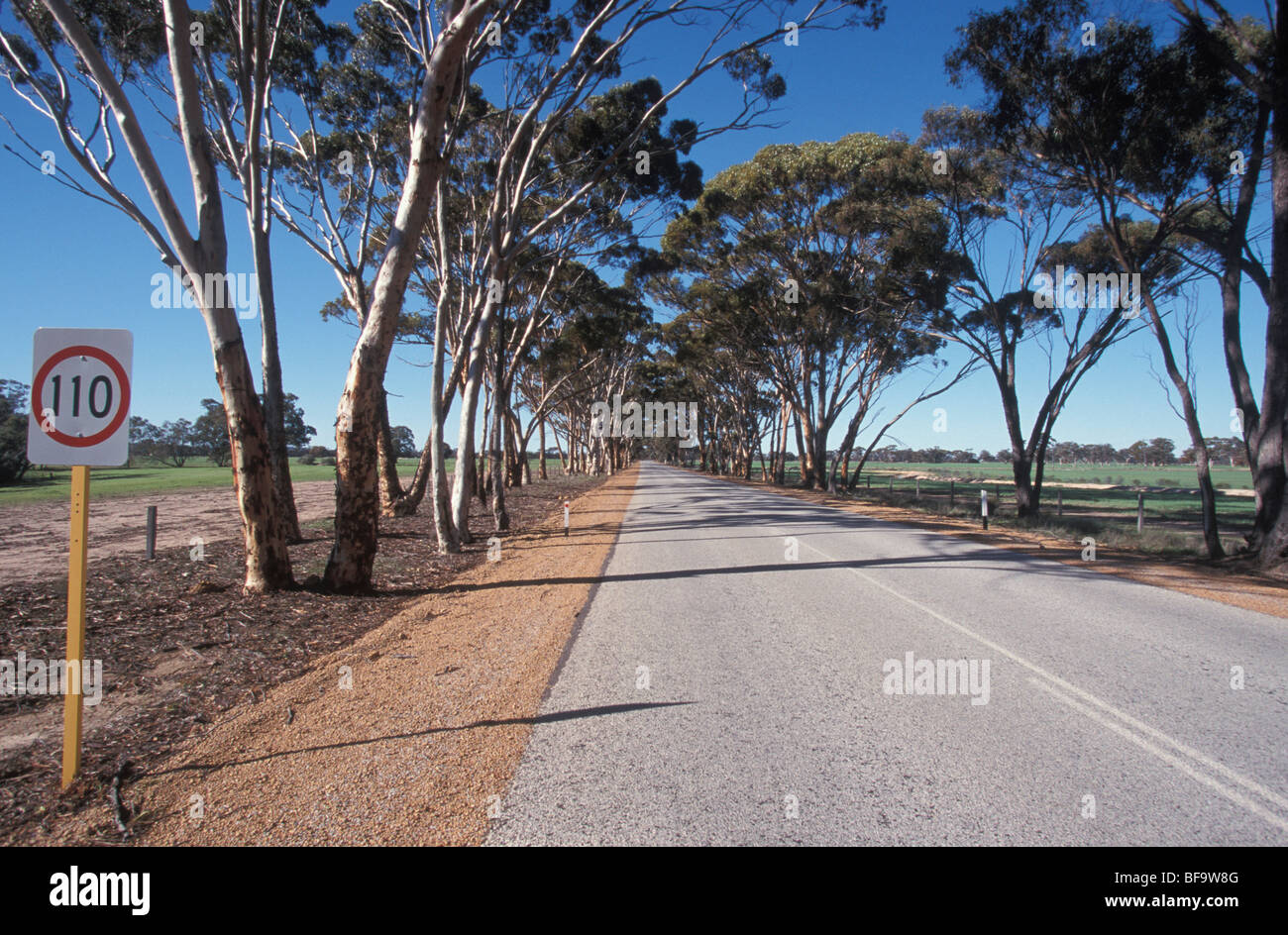 Autostrada sud a Mt Barker Wagin Western Australia Australia Foto Stock