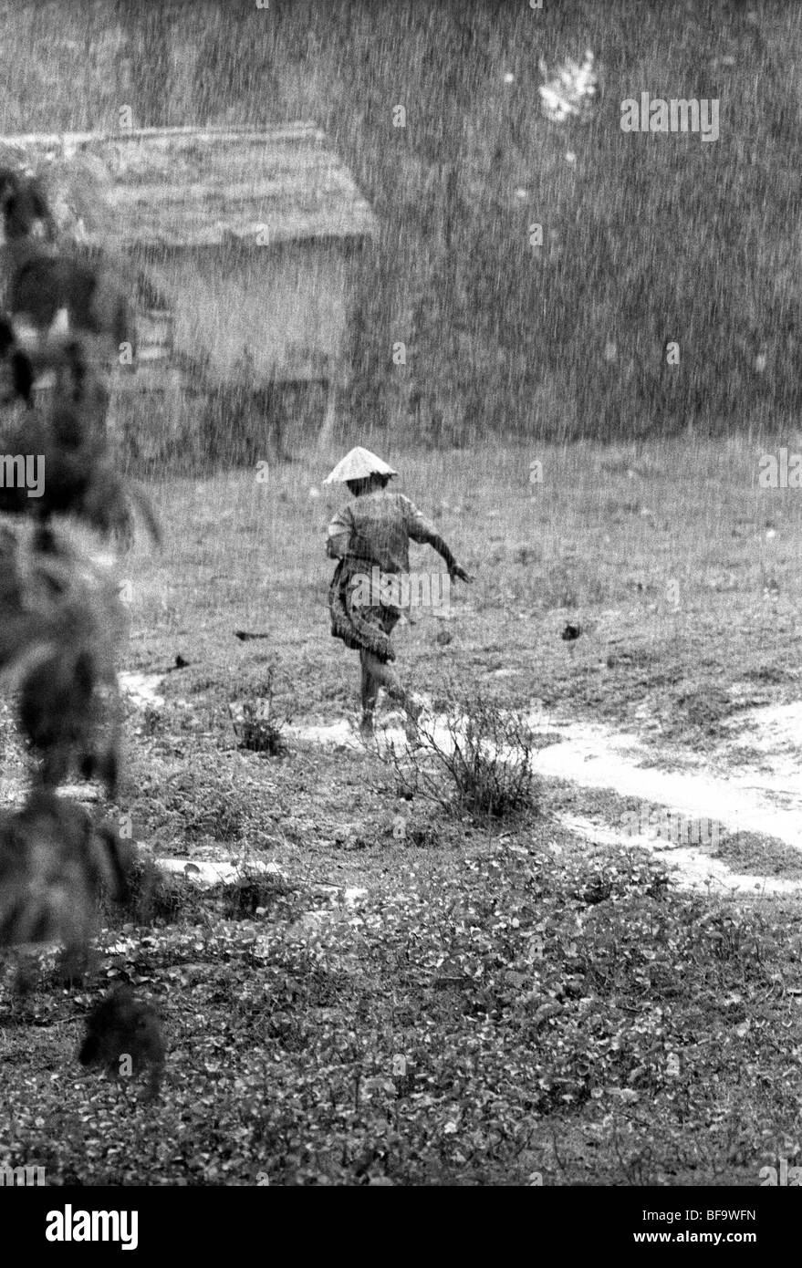 Agricoltura cambogiano Foto Stock