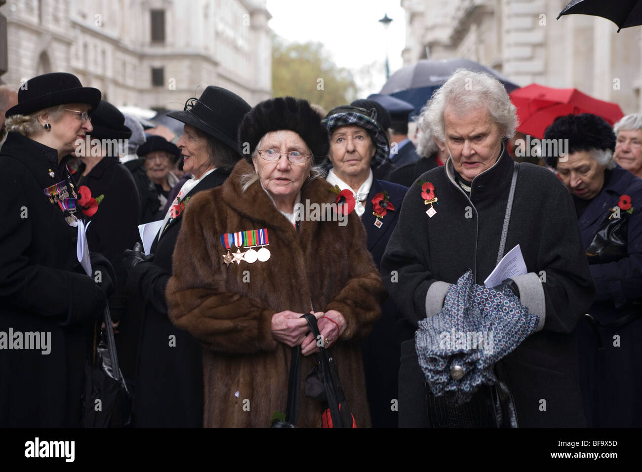 Vedove di guerra e amici radunati wearin le loro medaglie presso il cenotafio in atto annuale di ricordo per coloro che sono morti in guerra Foto Stock