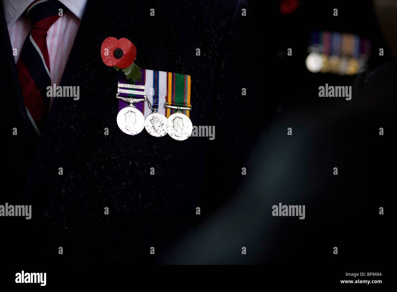 Vedove di guerra e amici indossando medaglie raccolte presso il cenotafio in atto annuale di ricordo per coloro che sono morti in guerra Foto Stock
