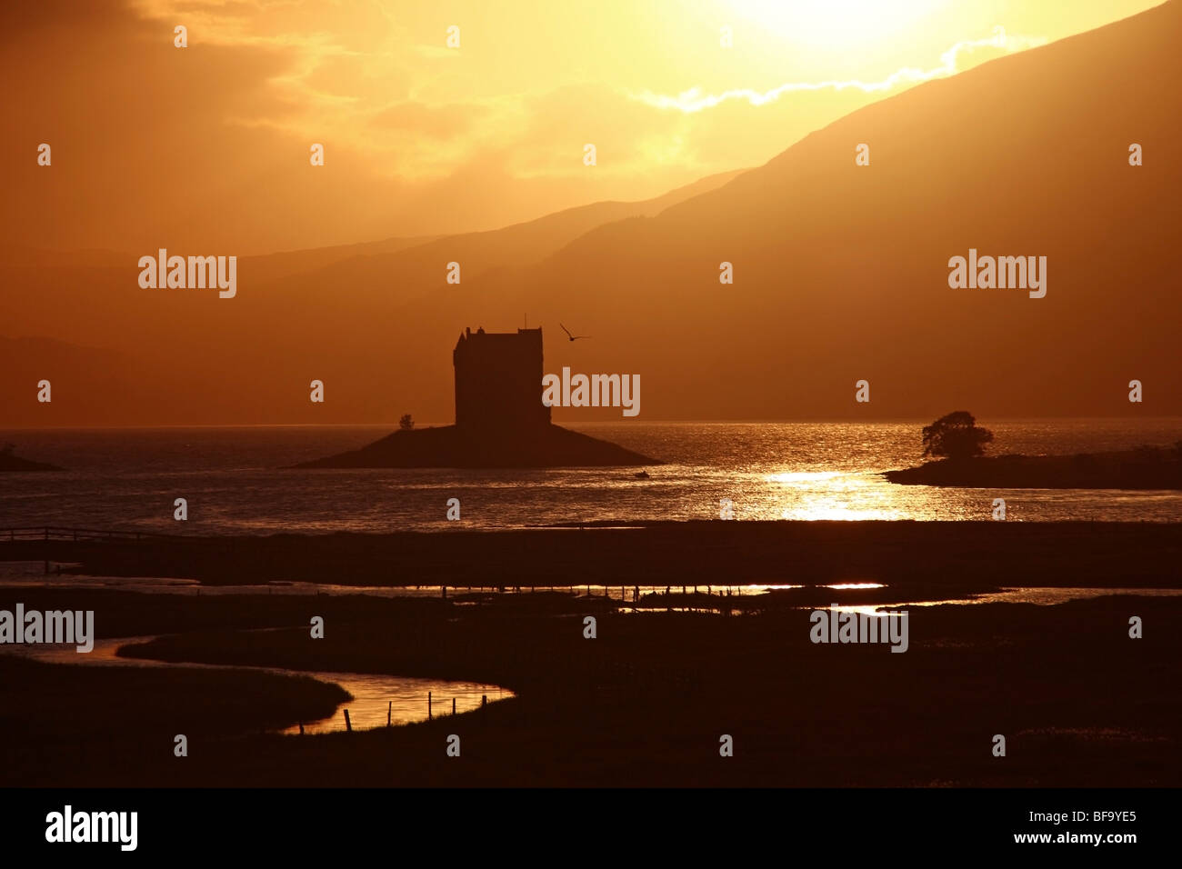 Castle Stalker nel sole di setting, vicino a Port Appin, Argyll & Bute, Scozia Foto Stock