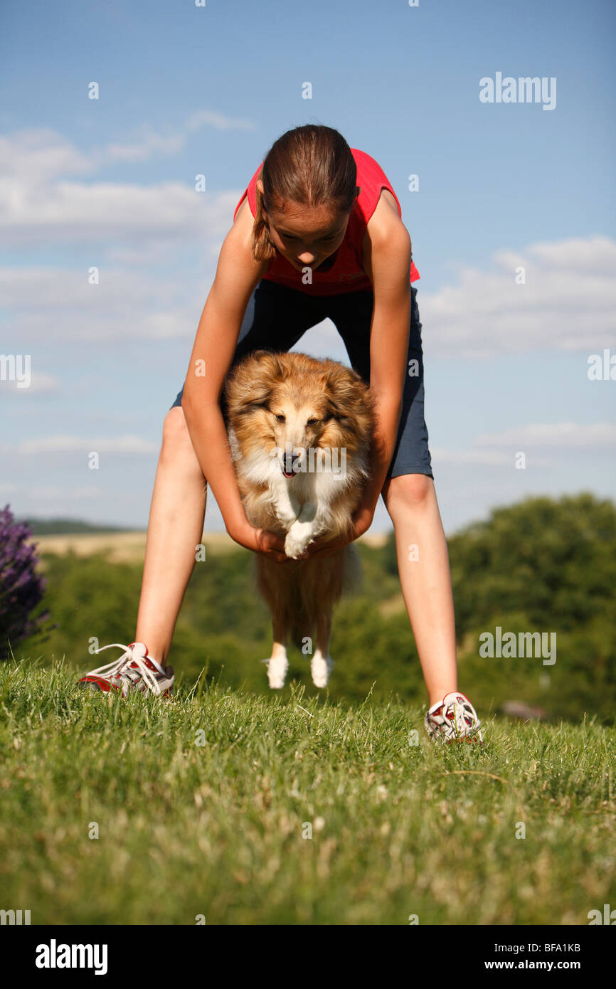 Shetland Sheepdog (Canis lupus f. familiaris), otto anni singoli saltando attraverso i bracci di una ragazza Foto Stock