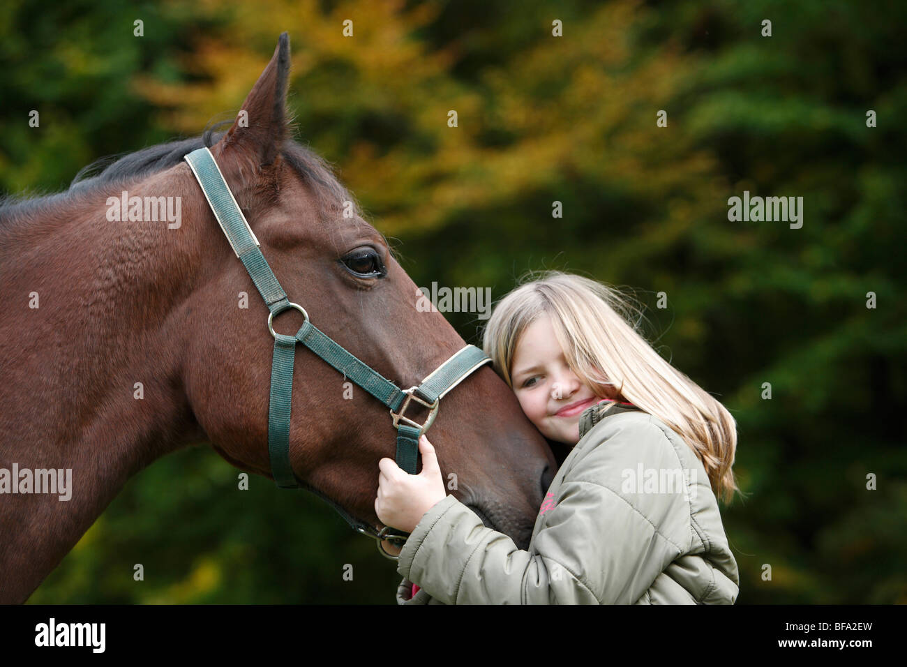 Cavalli domestici (Equus przewalskii f. caballus), ragazza caressfully abbracciando la testa di un cavallo, Germania Foto Stock