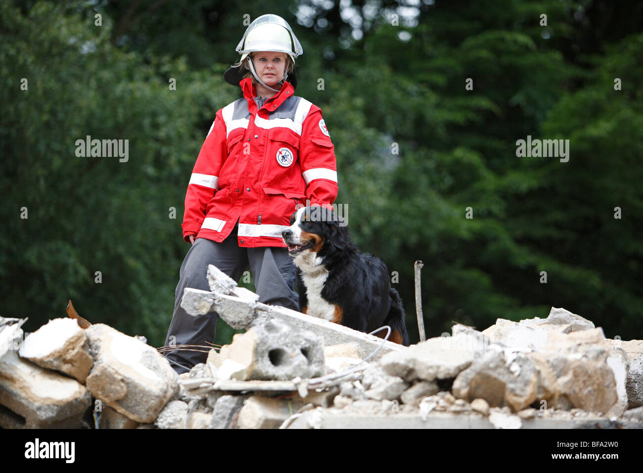 Bovaro del Bernese (Canis lupus f. familiaris), con trainer sulle macerie di un demolito house Foto Stock