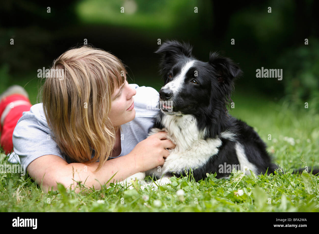 Razza cane (Canis lupus f. familiaris), trainer giacente sul ventre di accarezzare un cane, Border Collie-Terrier-miscelare in un prato Foto Stock