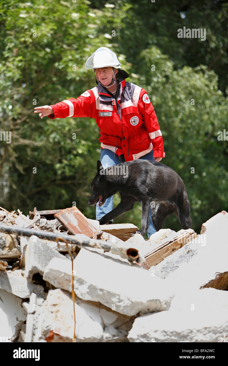Razza cane (Canis lupus f. familiaris), un trainer che mostra un cane di salvataggio il modo su un cumulo di macerie da costruzione Foto Stock