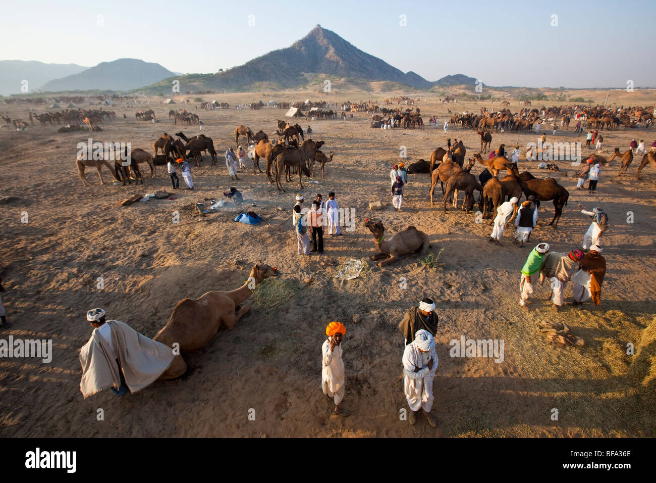 Rajput di uomini e cammelli al Camel Fair in Pushkar India Foto Stock