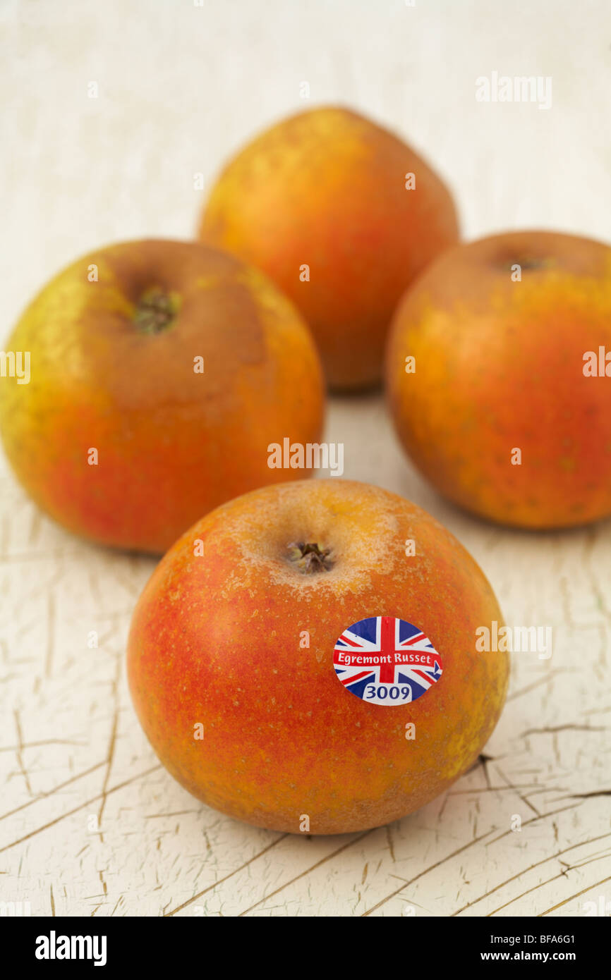 Egremont Russet marcati Apple in inglese utilizzando Union Jack flag progettazione posa sul dipinto distressed Sfondo legno Foto Stock