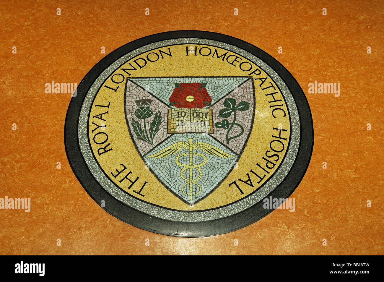 Il Royal London Homoeopathic Hospital logo ora Royal Hospital di Londra per la medicina integrata England Regno Unito Foto Stock