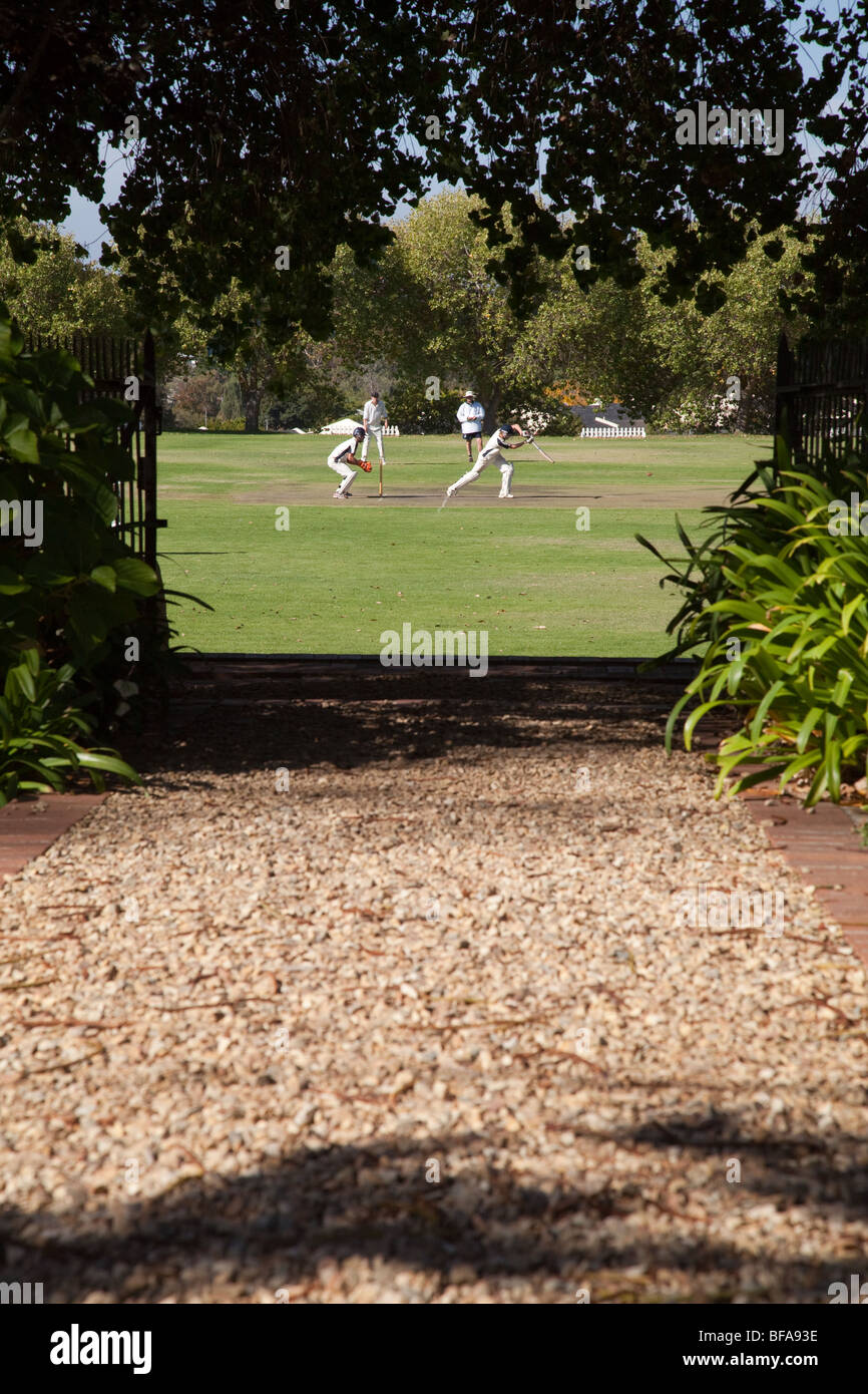 Un locale di cricket in gioco la regione viticola di Constantia, vicino a Città del Capo, Sud Africa Foto Stock