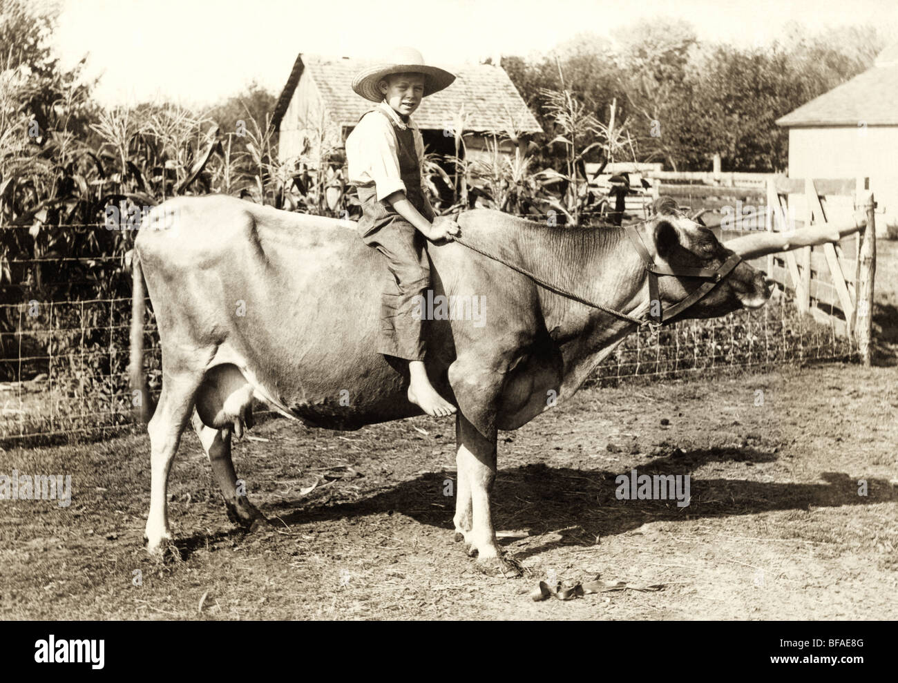 A piedi nudi Farm Boy vacca di equitazione Foto Stock
