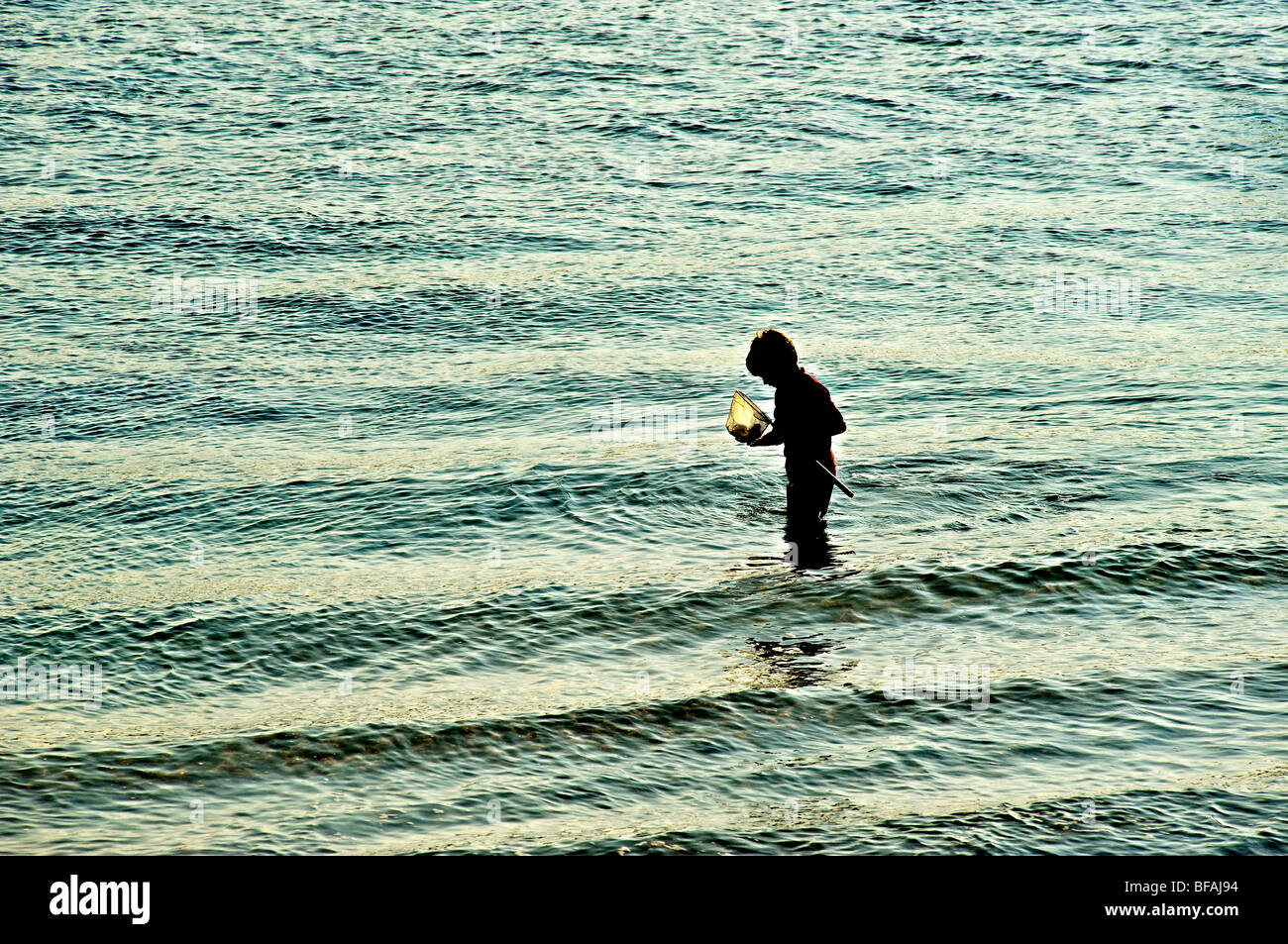 Ragazzo con rete da pesca in mare poco profondo acqua, cape cod, ma, Stati Uniti d'America Foto Stock