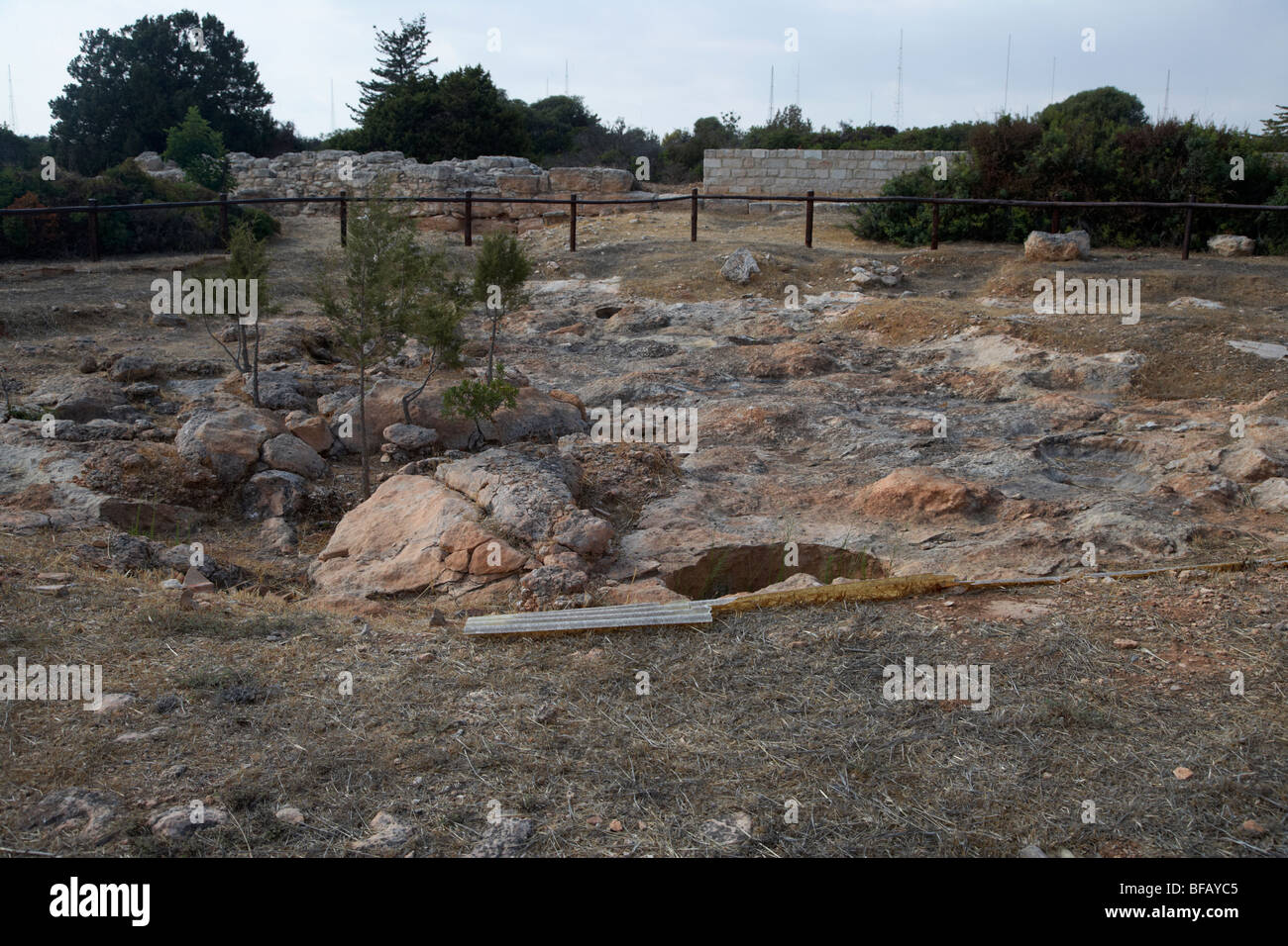 Cerchiata monumento ad albero nel santuario di apollon ylatis a kourion sito archeologico repubblica di Cipro in Europa Foto Stock