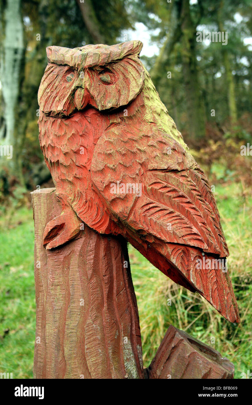 Il Gufo in legno Scultura su Riserva Naturale Foto Stock