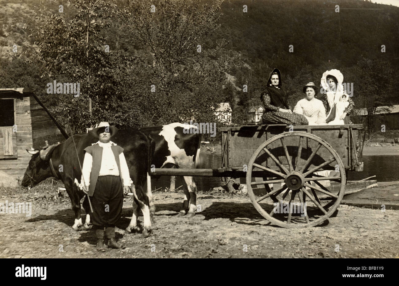 Uomo con Ox carrello portante tre donne Foto Stock