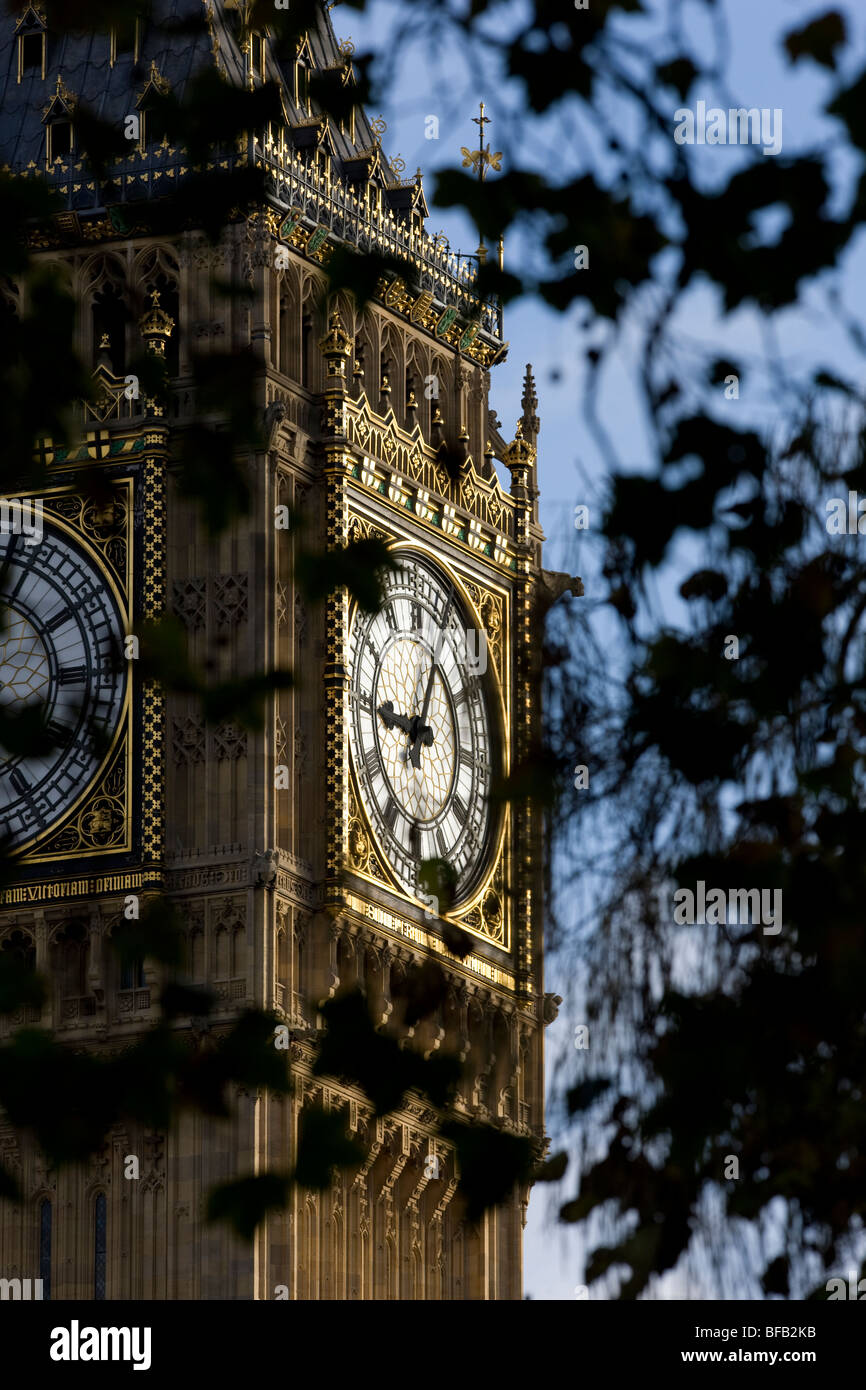 L'orologio di St Stephen's Tower, noto come Big Ben, visto attraverso i rami di autunno Foto Stock