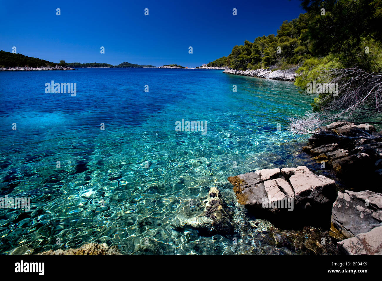 Bella baia isolata con acque cristalline sull isola di Korcula Foto Stock