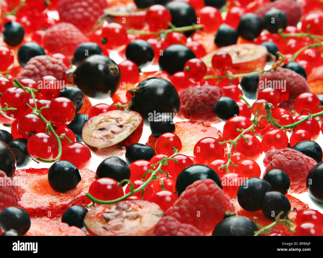 Red e Black Berry con goosberry closeup sfondo Foto Stock
