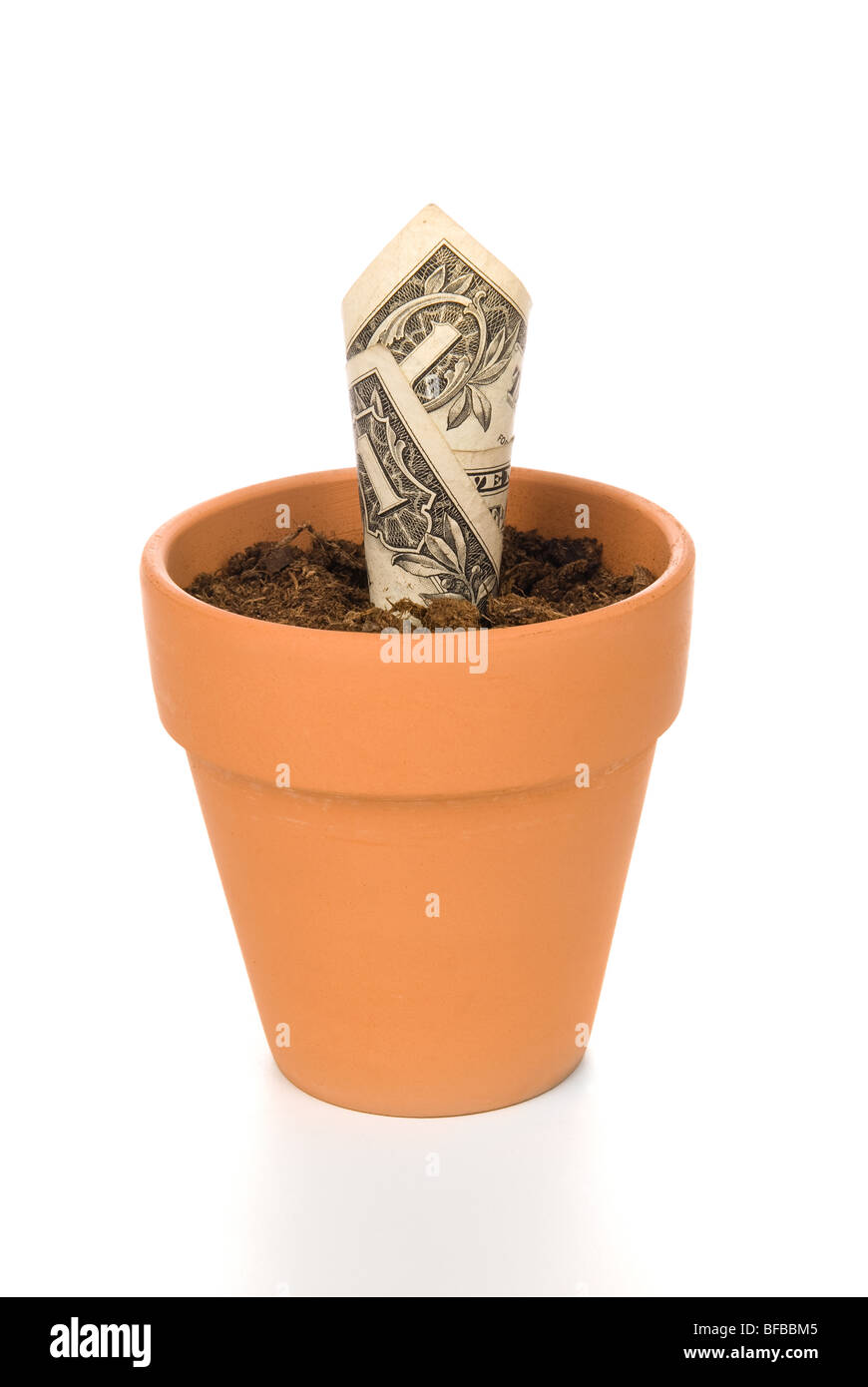 Un fiore di argilla vaso con una nuova fioritura di fiori in contanti. Buona immagine per gli investimenti, il pensionamento, risparmi inferenze. Foto Stock