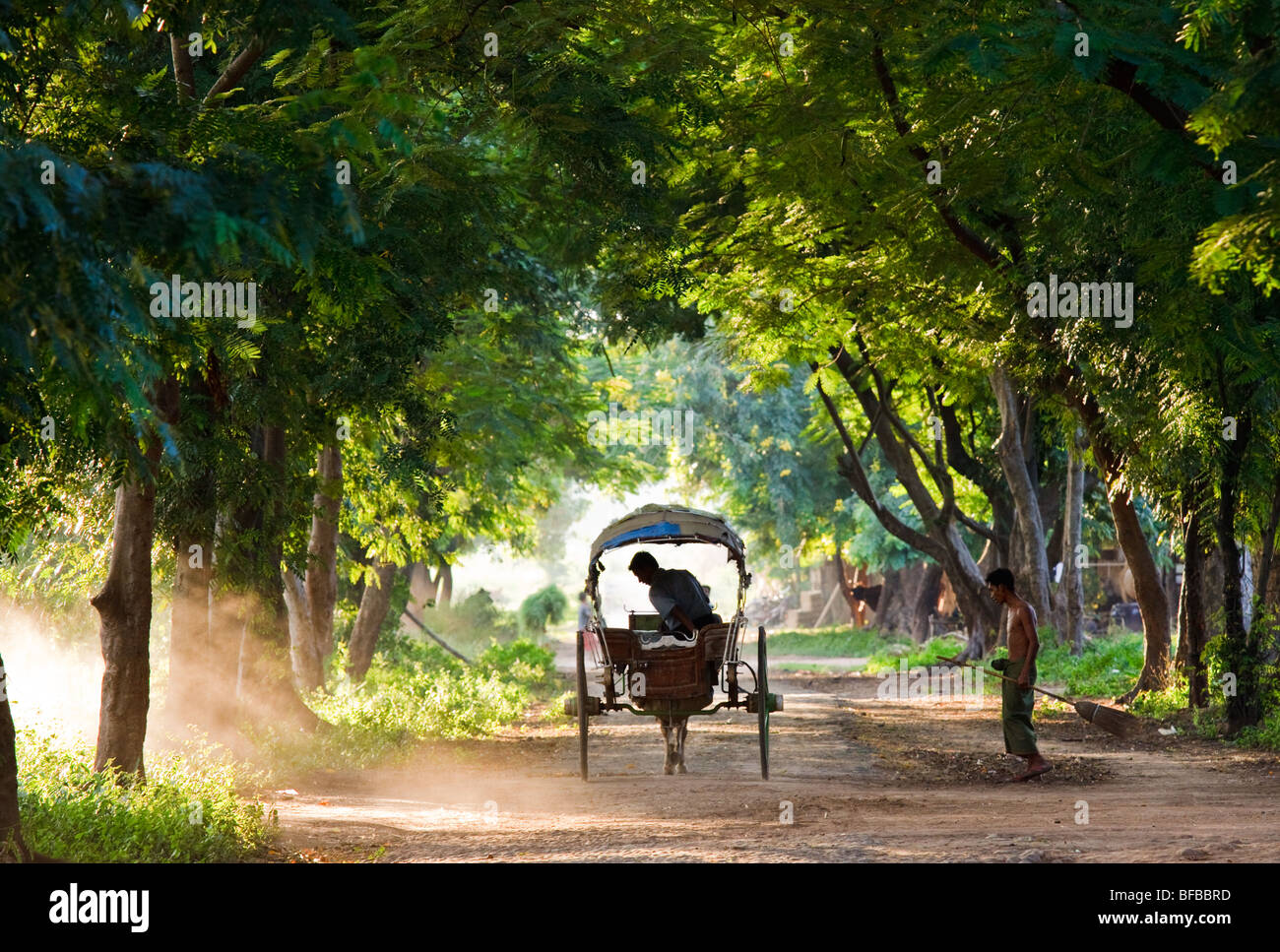 Un cavallo carrello su una strada fiancheggiata con gli alberi predominanti in Ava (Inwa) vicino a Mandalay, Myanmar Foto Stock