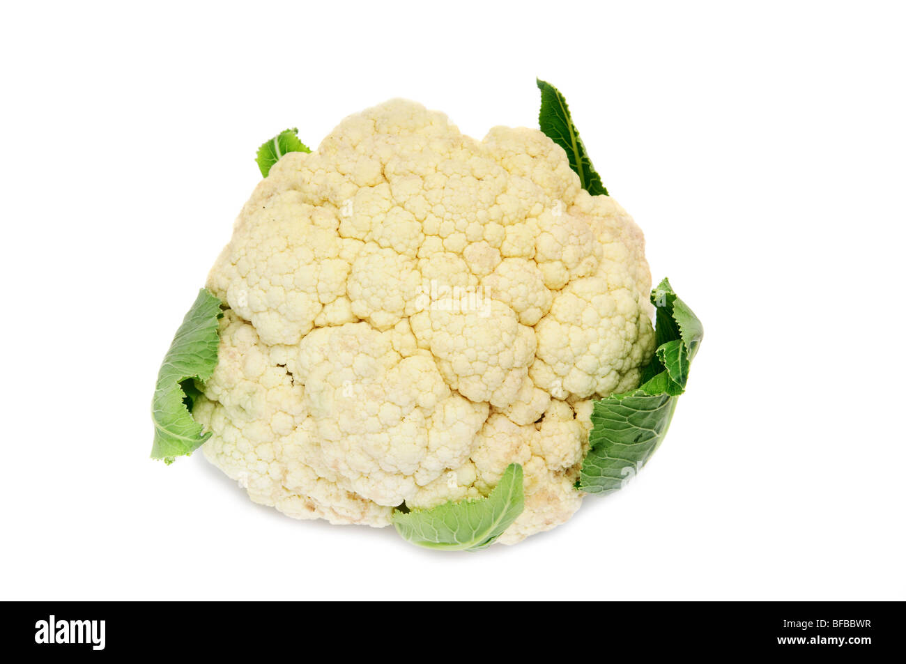 Il cavolfiore isolati su sfondo bianco Foto Stock