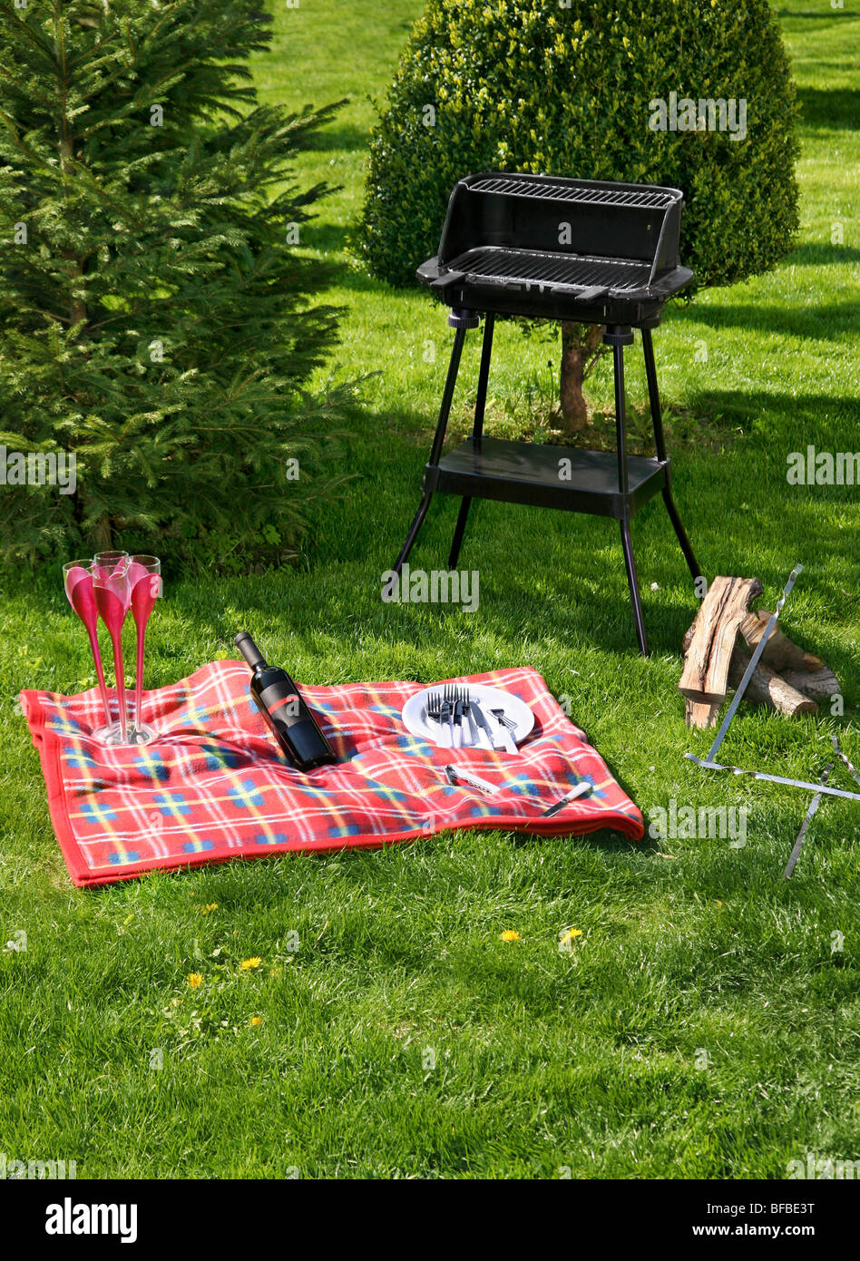 Preparazione al picnic sull'erba verde con barbecue Foto Stock