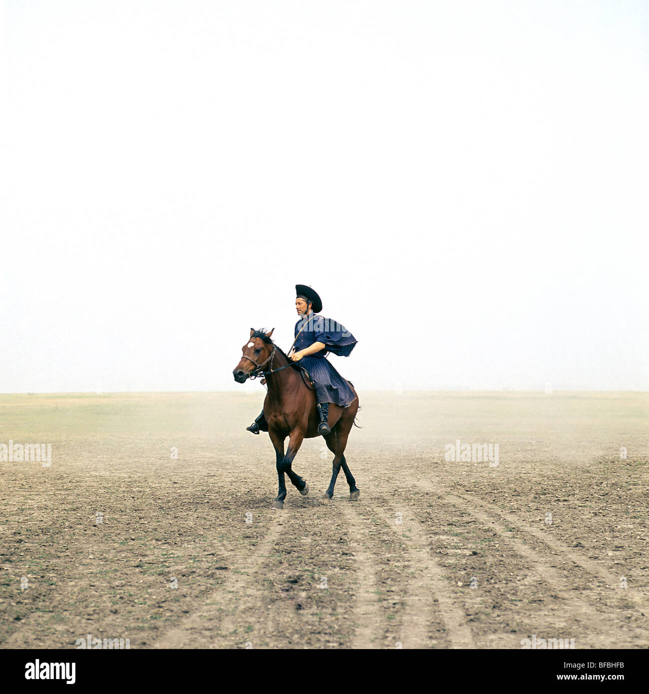 Cavallo ungherese cavalcato da csik su Hortobagyi Puszta Foto Stock