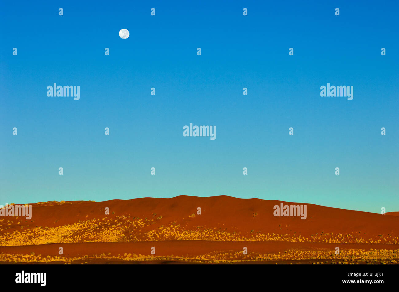 Luna piena al di sopra del Namib NAMIBIA deserto del Namib SOSSUSVLEI la mattina presto atmosfera luminosa atmosfera dune di umore half light alba Foto Stock