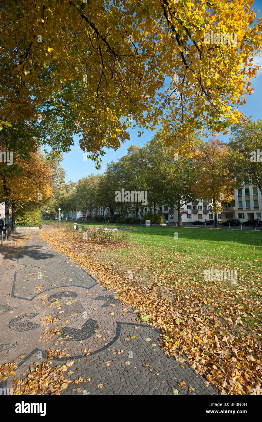 Autunno in una città in Germania Foto Stock