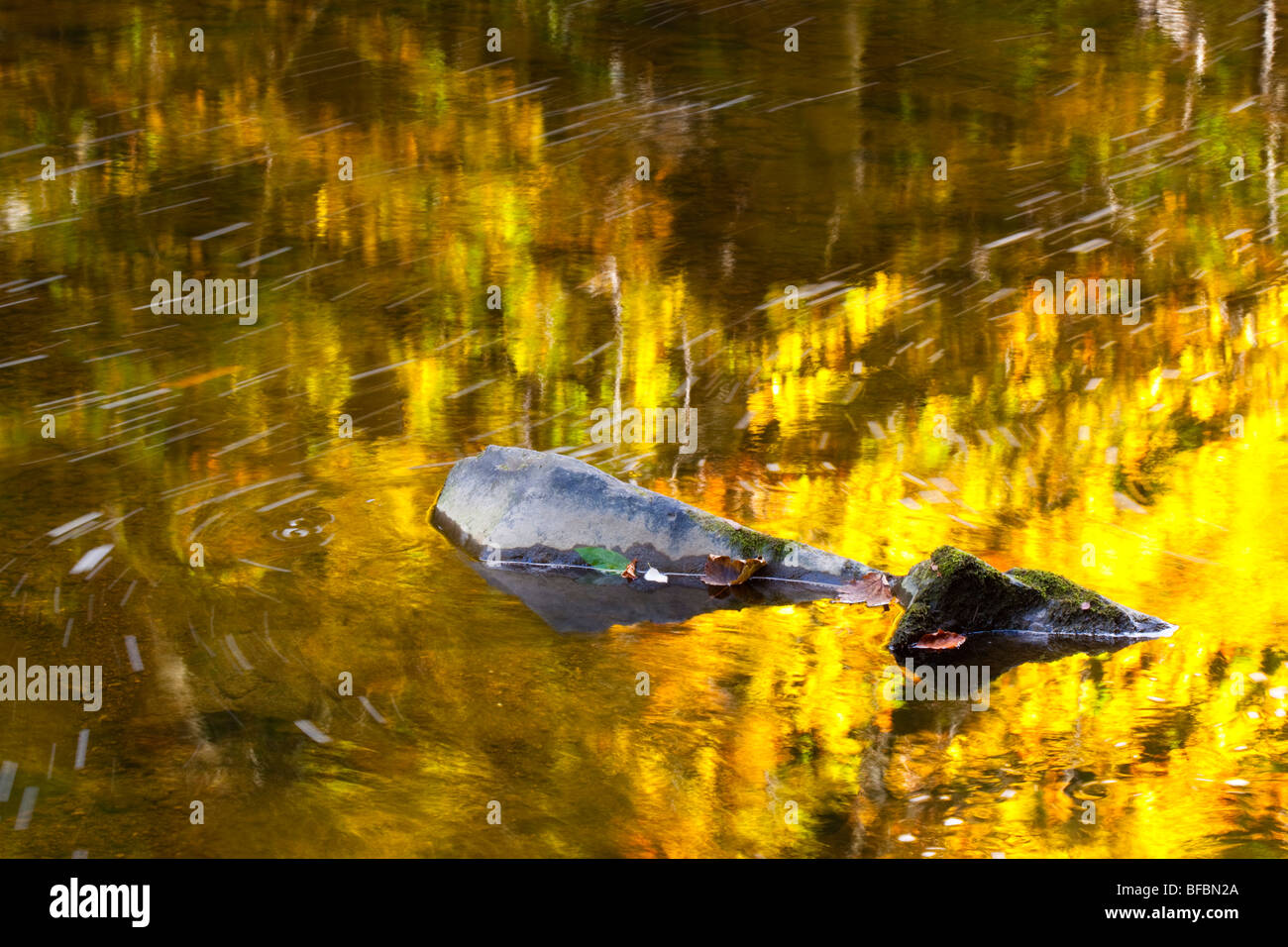 Inghilterra, Northumberland, banche Allen & Staward Gorge. Autunno colori riflessi nel fiume Allen entro la gola. Foto Stock