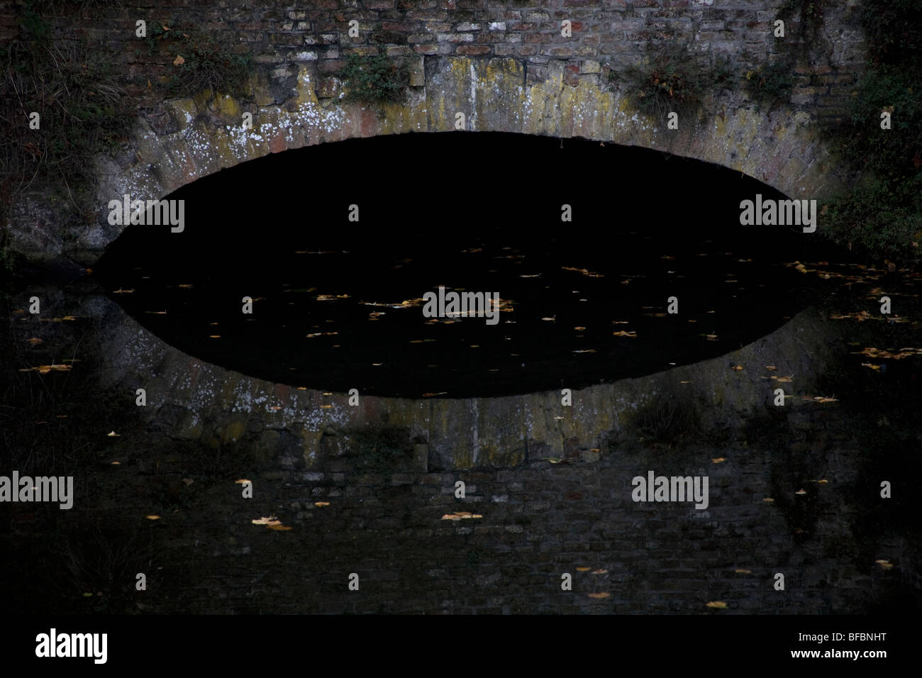 Ponte riflettendo in acqua parco Minnewater Bruges Belgio Foto Stock