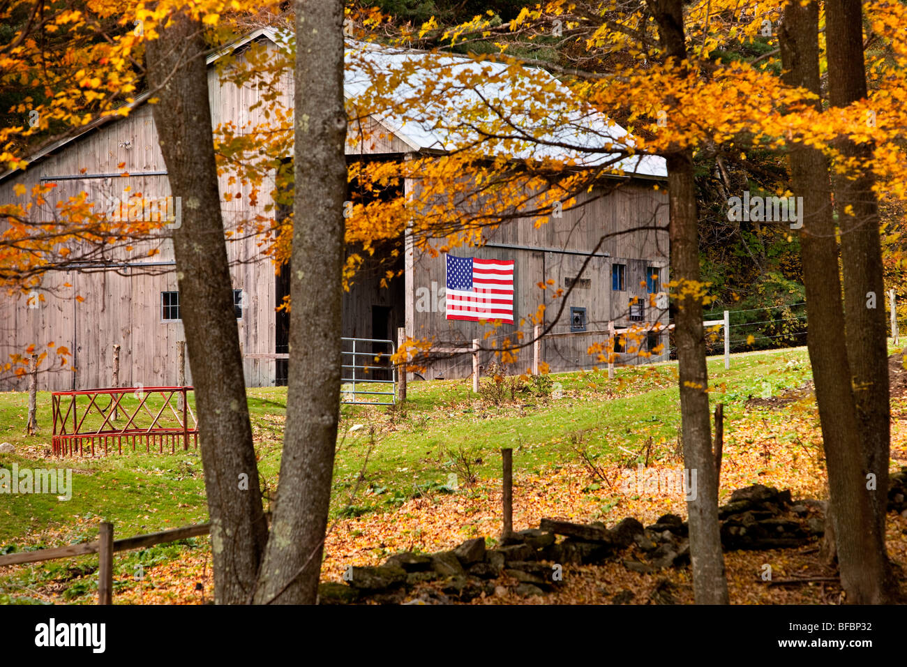 Fienile con bandiera americana in autunno nei pressi di Woodstock Vermont - USA Foto Stock