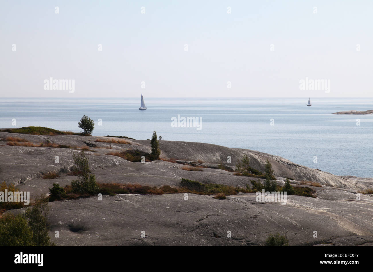 Barche a vela in mare Foto Stock