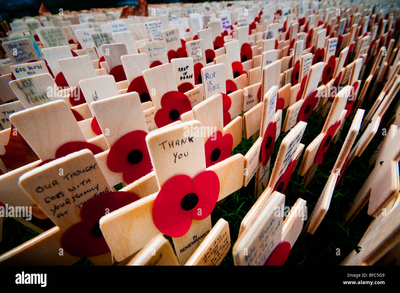 Campo di ricordo presso l'Abbazia di Westminster, Londra. Foto Stock