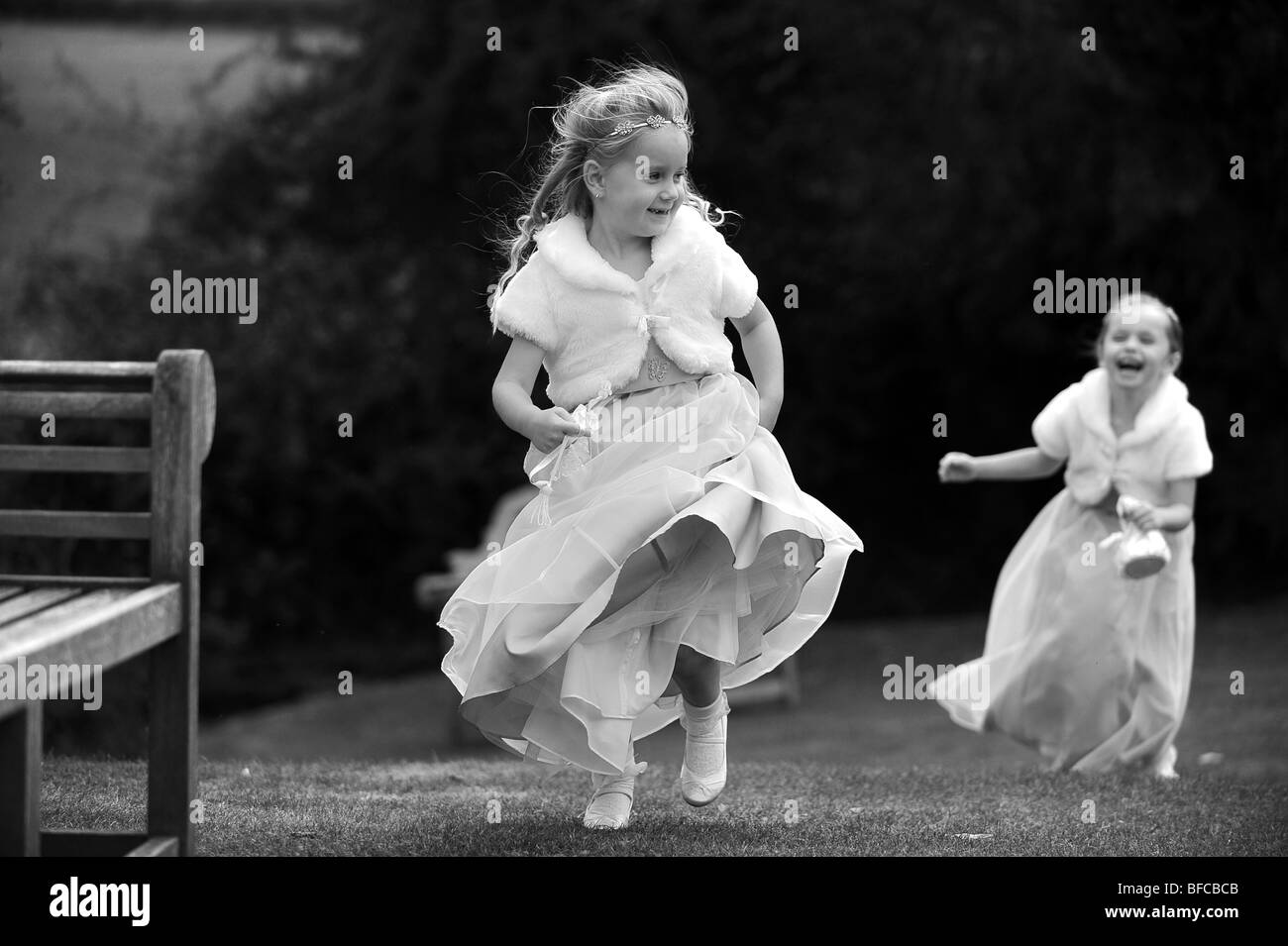 Bridesmaids divertendosi Foto Stock