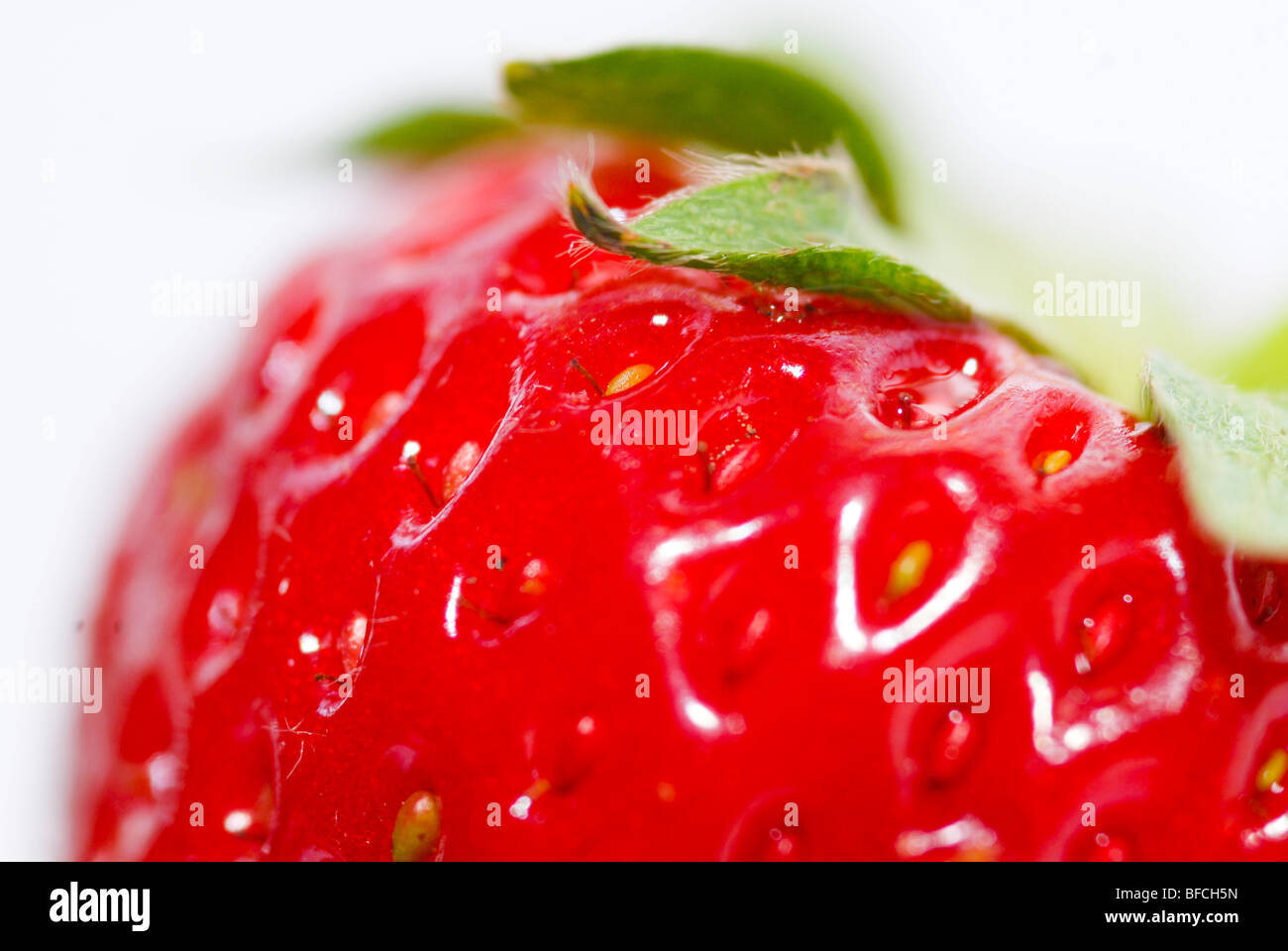 Fragola Foto Stock